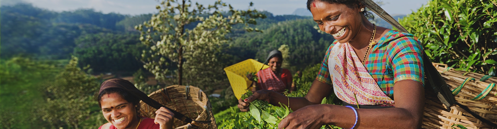 Sri Lanka image